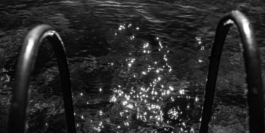  Stef Tsakiris Alisahni